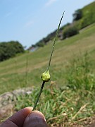 IMG_7317