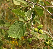 IMG_2544