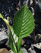 IMG_8744