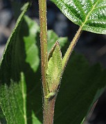 IMG_8747