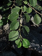 IMG_8748