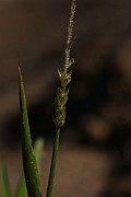 IMG_0920