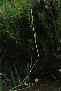 IMG_9249