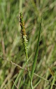IMG_9253