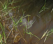 IMG_9254