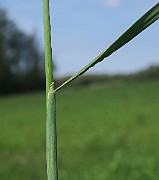 IMG_0111