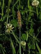 IMG_1547
