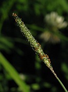 IMG_1548