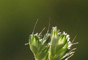 IMG_1553