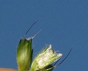 IMG_1554