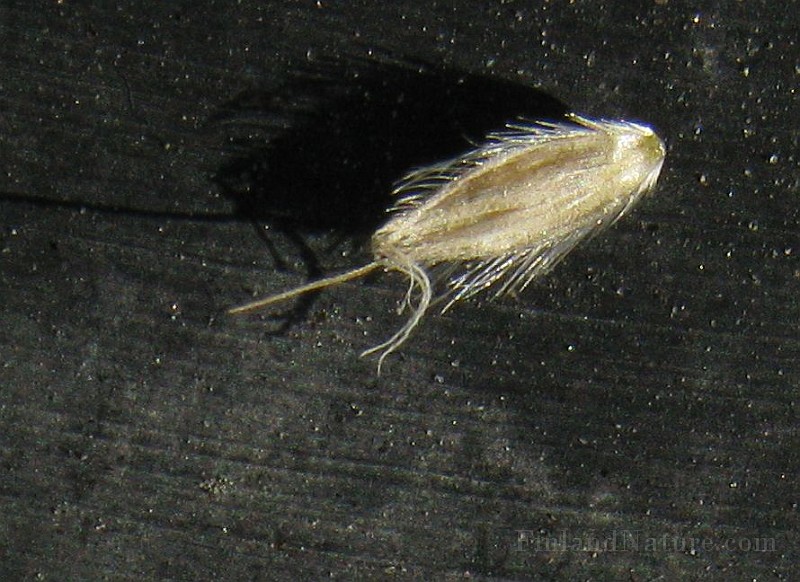 IMG_1503b.jpg