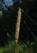 IMG_1502