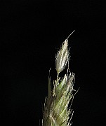 IMG_1507