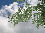 IMG_7989