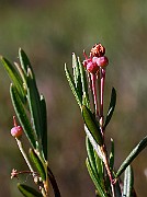 IMG_0073