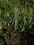 IMG_4034