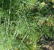 P1020543