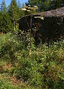 IMG_6222