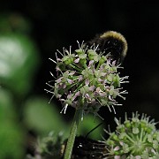 IMG_8224