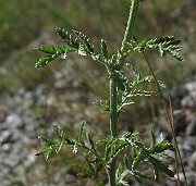 IMG_4282