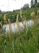 IMG_3768