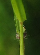 IMG_3771