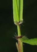 IMG_3773
