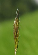 IMG_3776