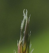 IMG_3776b