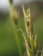 IMG_3784b