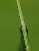 IMG_3788
