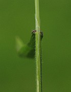 IMG_3789