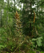 IMG_5934