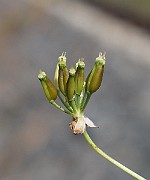 IMG_7766