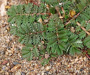 IMG_0635