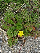 IMG_6353