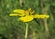 IMG_9897