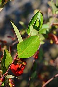 IMG_6628