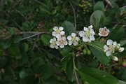 IMG_7100