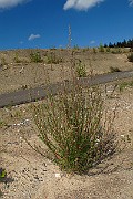 IMG_3948