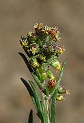 IMG_3953
