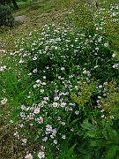 IMG_5849