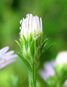 IMG_5851