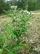 IMG_5853