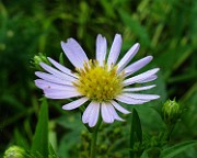 IMG_5860