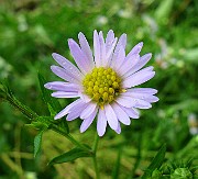IMG_5863
