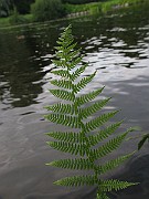 IMG_3038