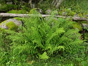 IMG_5905