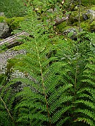 IMG_5914