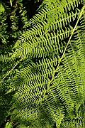 IMG_6363